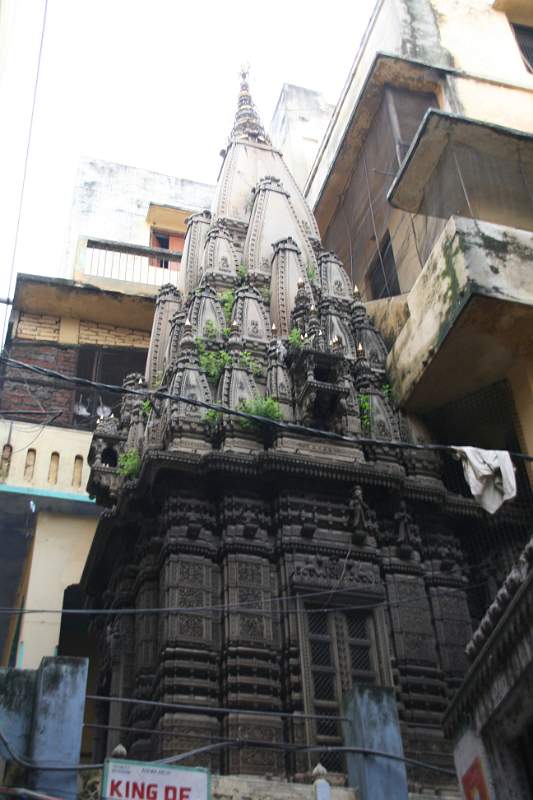 India & Nepal 2011 - 0823